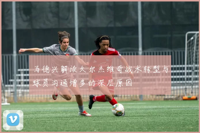 马德兴解读久尔杰维奇战术转型与球员沟通增多的深层原因