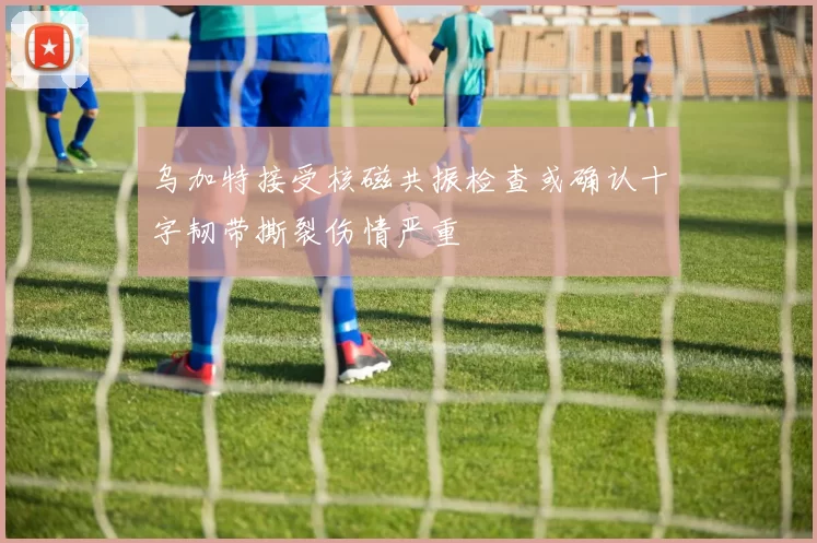 乌加特接受核磁共振检查或确认十字韧带撕裂伤情严重
