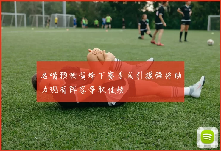 名嘴预测黄蜂下赛季或引援强将助力现有阵容争取佳绩
